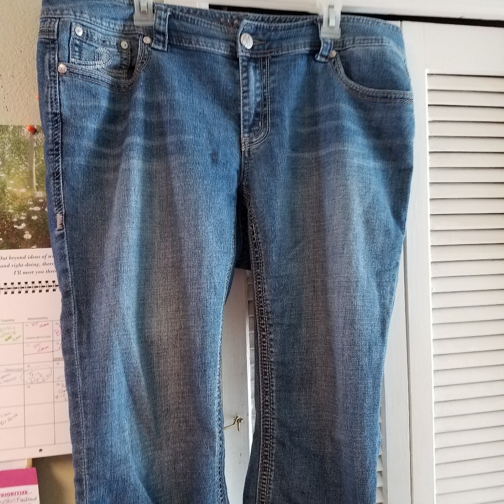 Melissa McCarthy 7 seven  capri